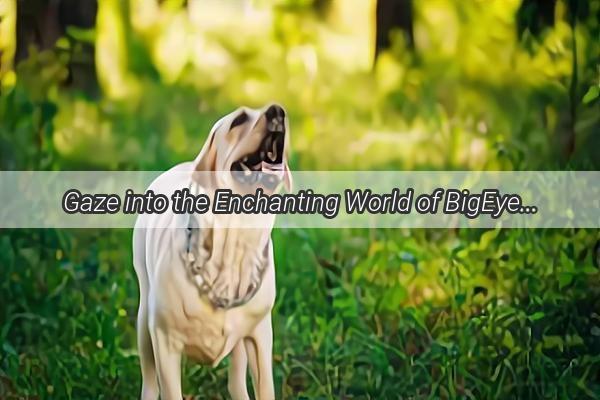 Gaze into the Enchanting World of BigEyed Dogs A Comprehensive Breed Gallery